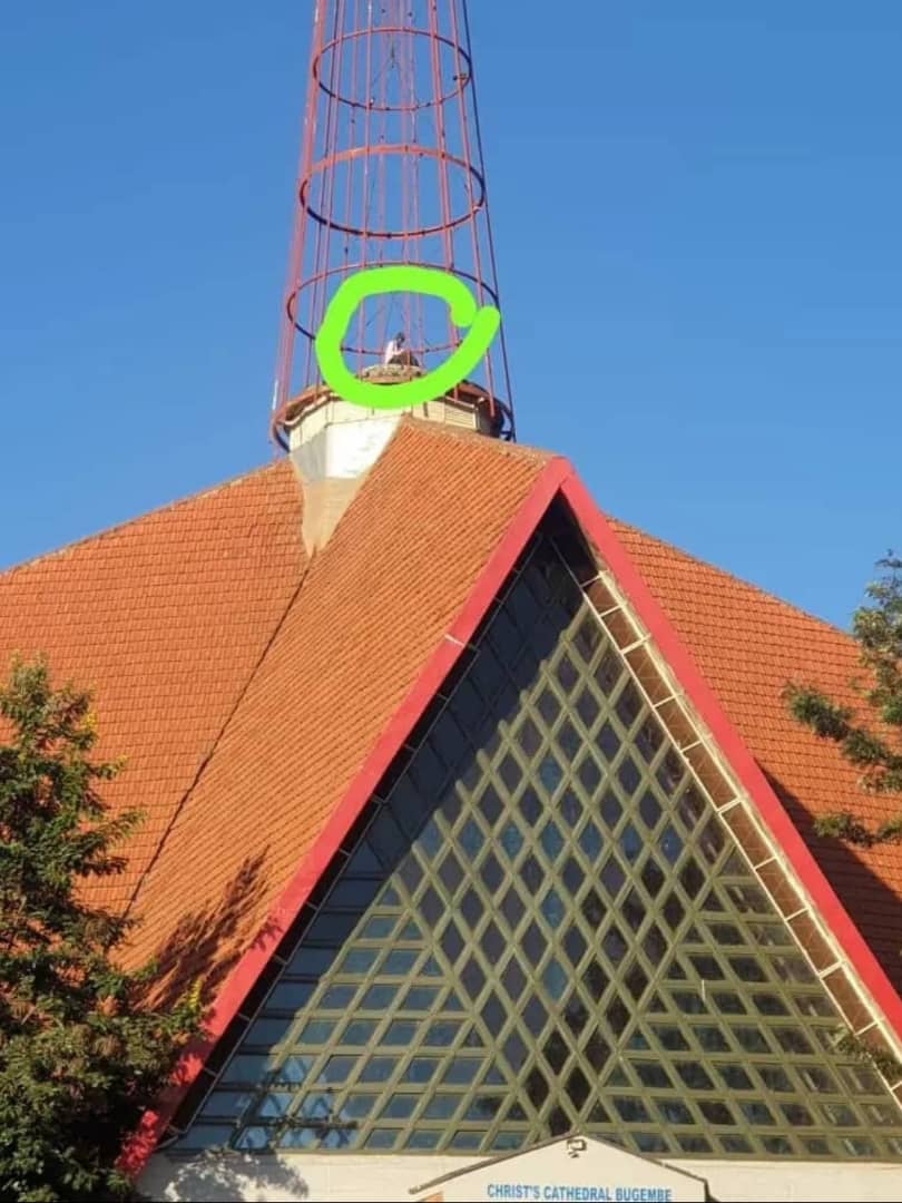 Man Scales Church Roof in Bizarre Bid to Reach Heaven